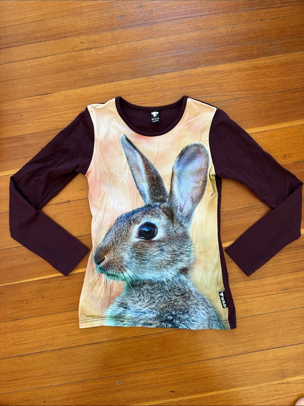 Wild Kids Bunny Graphic Long Sleeve Top - Beige Front with Brown Sleeves